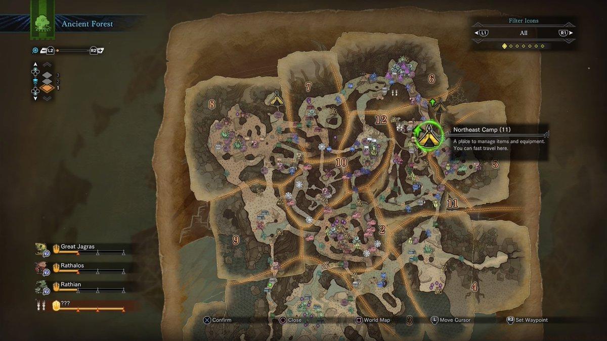 Ancient Forest: Northeast Camp (11)